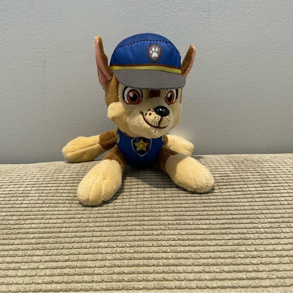Paw Patrol Chase